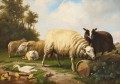 Eugene Verboeckhoven Schafe und Enten ovejas